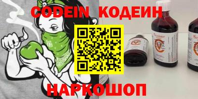 мдпв Кингисепп