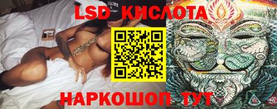 мдпв Кингисепп