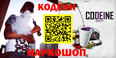 мдпв Кингисепп
