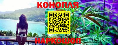 мдпв Кингисепп