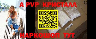 мдпв Кингисепп