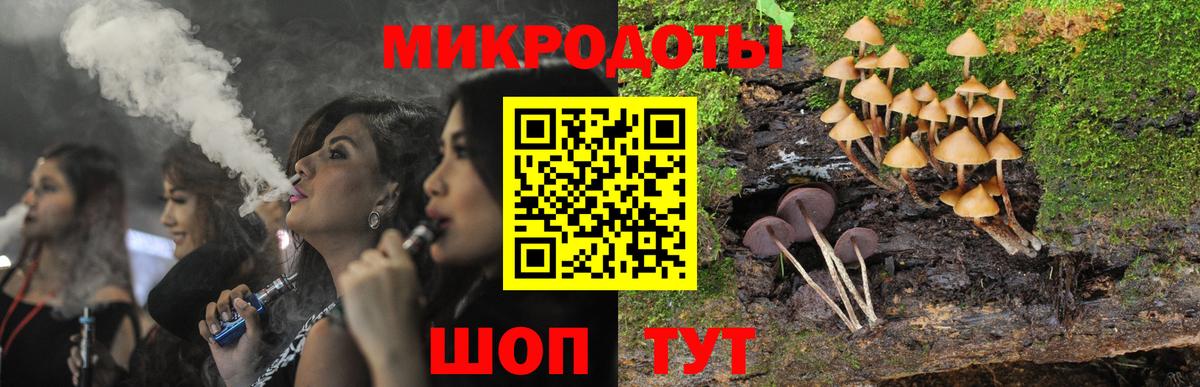 Псилоцибиновые грибы Psilocybe Кострома